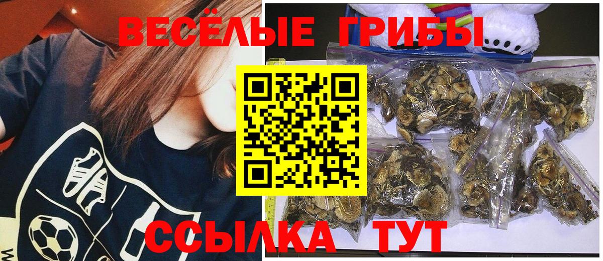 Галлюциногенные грибы мухоморы Торжок