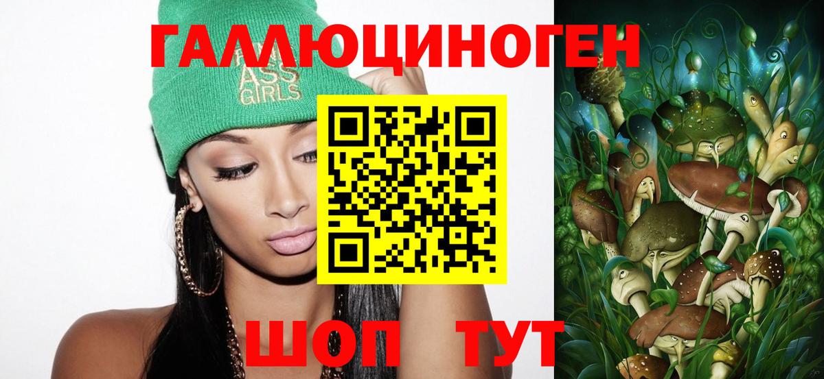 Торжок  Псилоцибиновые грибы Psilocybe  Вход с VPN  Псилоцибиновые грибы GOLDEN TEACHER 